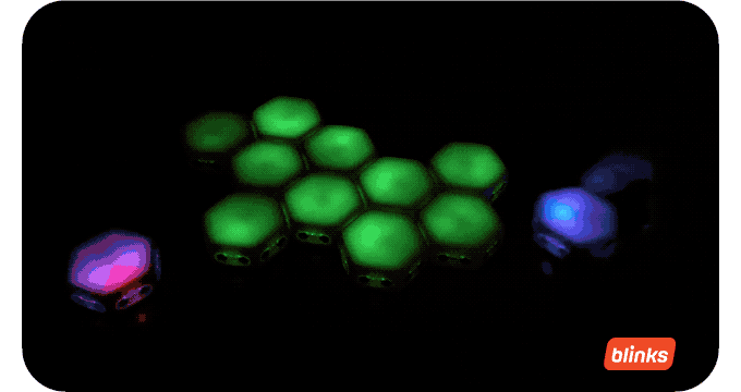 Introducing Raid for the Blinks Community Set