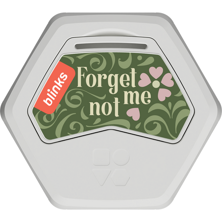 Forget-me-not